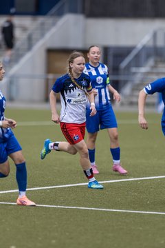 Bild 79 - wBJ Hamburger SV - FC Suederelbe : Ergebnis: 9:0